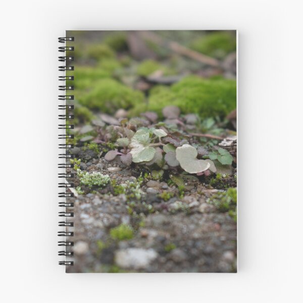 Item preview, Mossy Pebble Clover Patch designed and sold by Stephanie Massie.