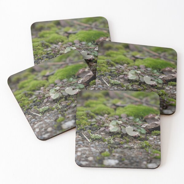 Item preview, Mossy Pebble Clover Patch designed and sold by Stephanie Massie.