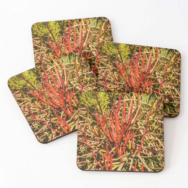 Item preview, Nature's Tangle designed and sold by Thaddeus Zajdowicz.