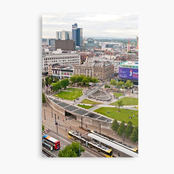 A roof with a view Metal Print