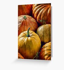 purely pumpkin Greeting Card