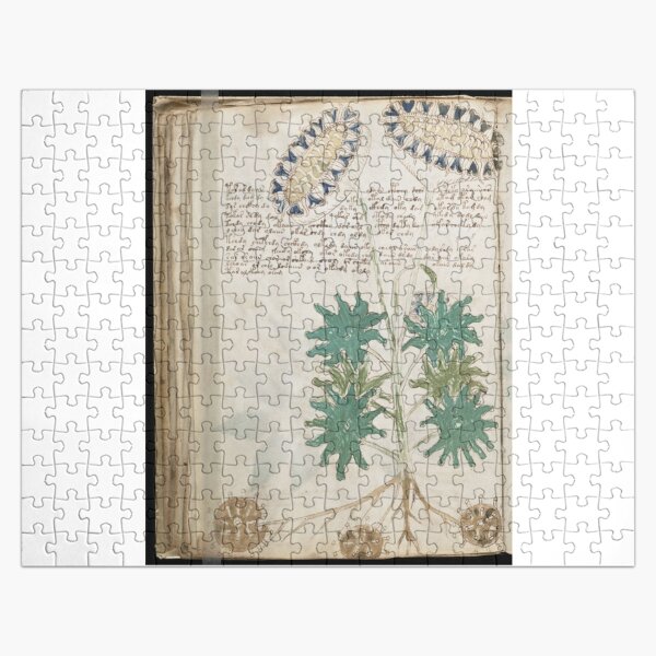 Voynich Manuscript. Illustrated codex hand-written in an unknown writing system Jigsaw Puzzle