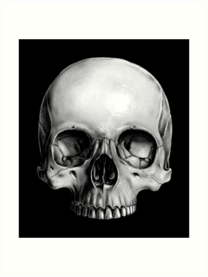 "Half Skull" Art Print by bonedesigns | Redbubble