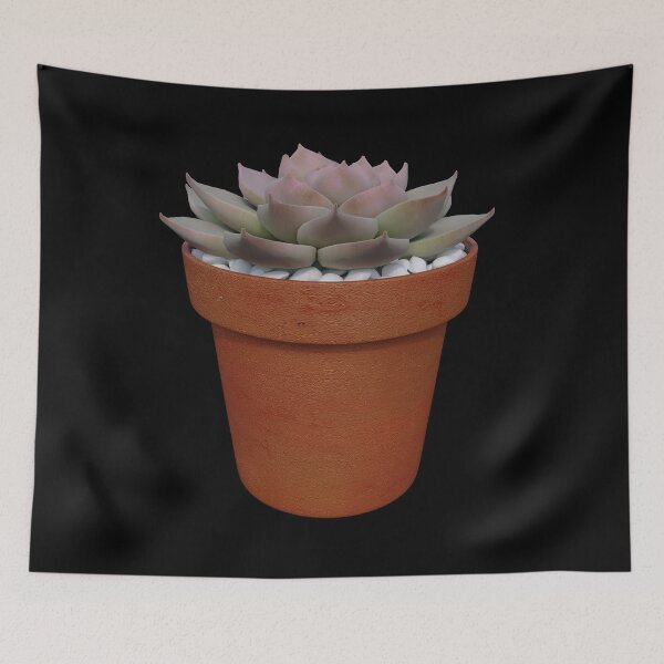 Item preview, succulent plant design designed and sold by interior4inspo.
