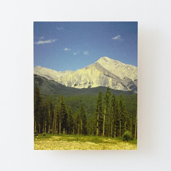 Vintage Adventure Wood Mounted Print