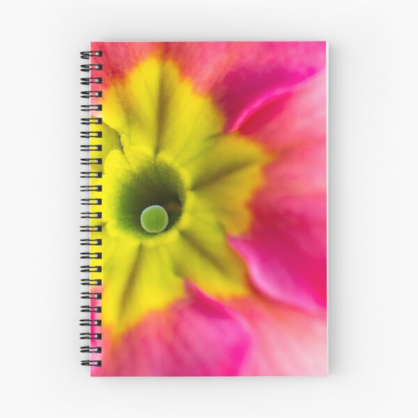 Item preview, Polyanthus designed and sold by Allport Photography.