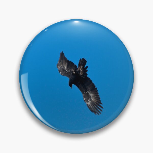 Artikelvorschau, Wedge Tailed Eagle Tauchen entworfen und verkauft von GP1746.