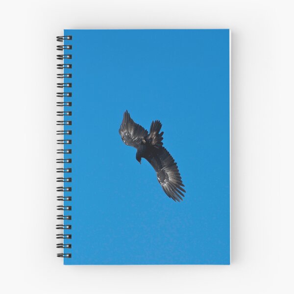 Item preview, Wedge Tailed Eagle diving designed and sold by GP1746.