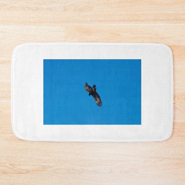 Item preview, Wedge Tailed Eagle diving designed and sold by GP1746.