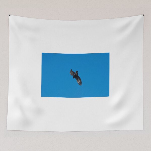 Item preview, Wedge Tailed Eagle diving designed and sold by GP1746.