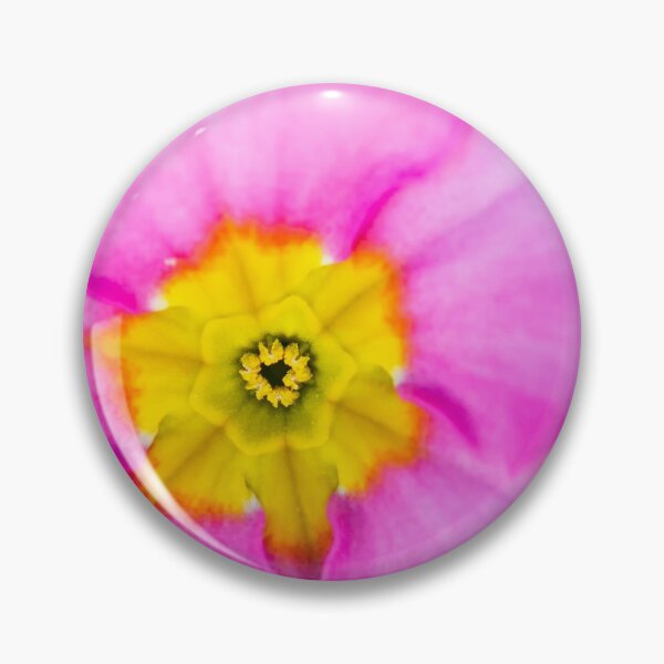 Item preview, Polyanthus designed and sold by Allport Photography.