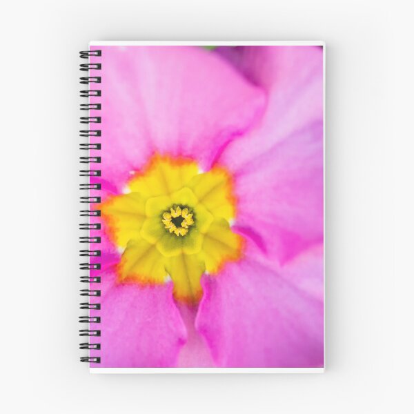 Item preview, Polyanthus designed and sold by Allport Photography.