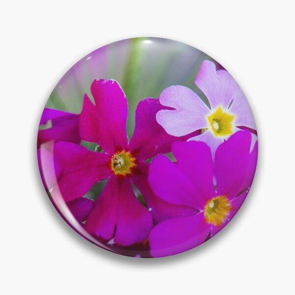 Item preview, Primula designed and sold by Allport Photography.