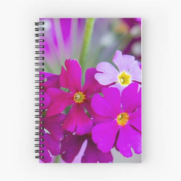 Item preview, Primula designed and sold by Allport Photography.