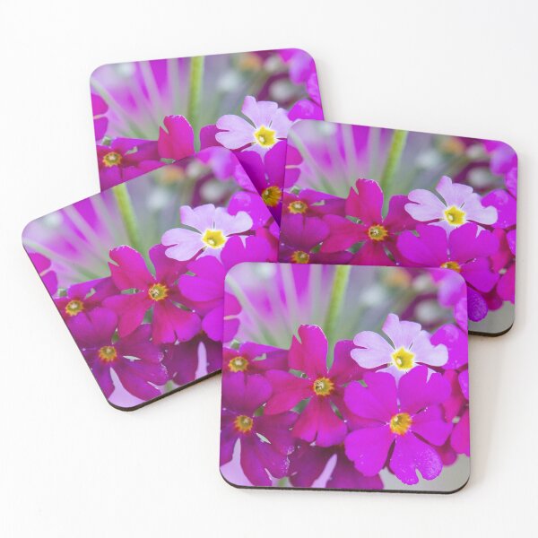 Item preview, Primula designed and sold by Allport Photography.