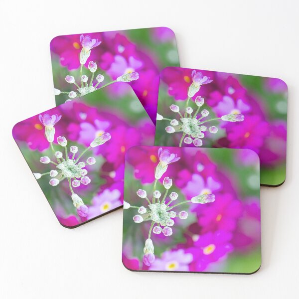 Item preview, Primula designed and sold by Allport Photography.