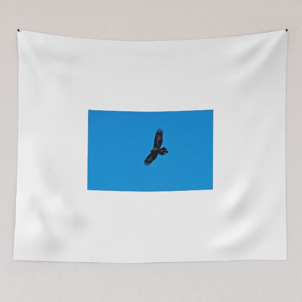 Item preview, Wedge Tailed Eagle in flight designed and sold by GP1746.