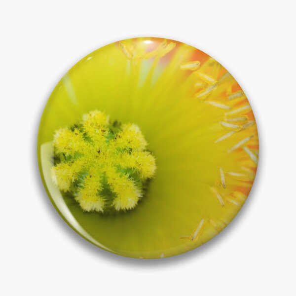 Item preview, Poppy designed and sold by Allport Photography.