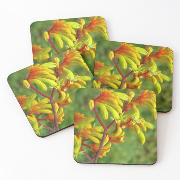 Item preview, Australian Kangaroo Paw “Gold Velvet” designed and sold by Marilyn Harris.