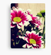 Brush Canvas Print