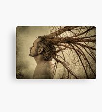 From Earth to Sky Canvas Print