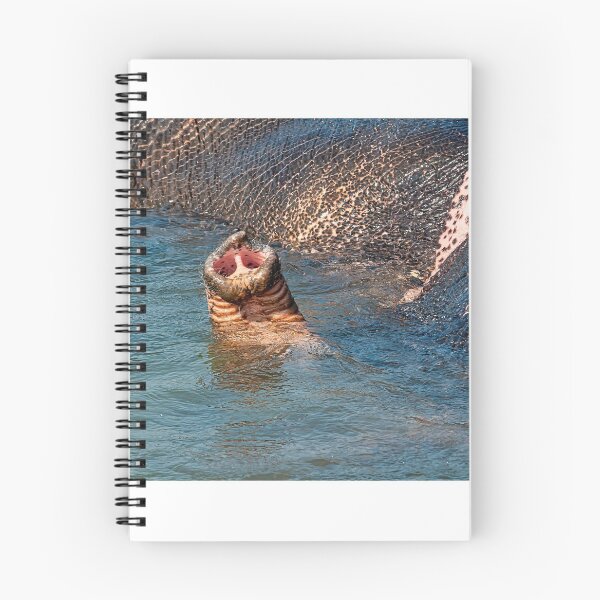 Item preview, Sauraha Trunk Call designed and sold by photograham.