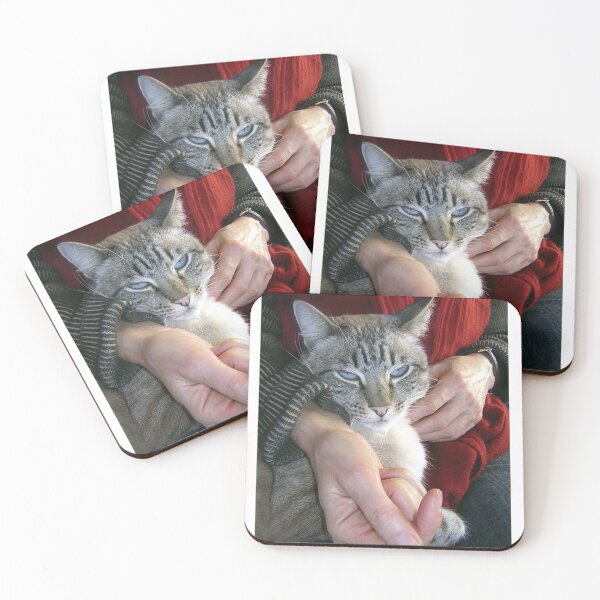 Item preview, Harry the Cat looking rather contented designed and sold by Roz McQuillan Fine Art & Photography.