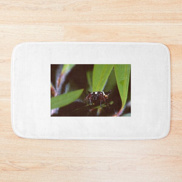 Item preview, 6 Horned Spider designed and sold by GP1746.