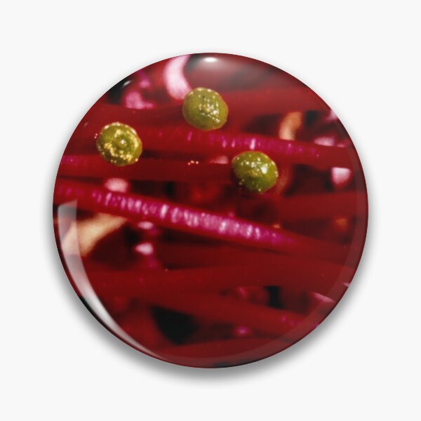 Item preview, Grevillea stamens designed and sold by GP1746.