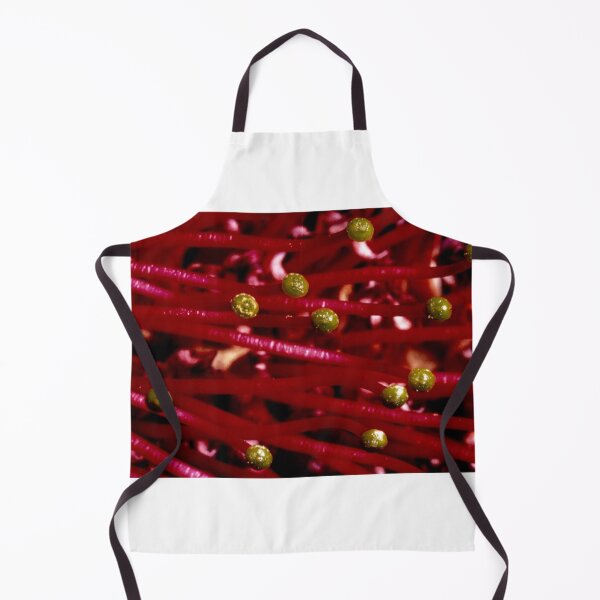 Item preview, Grevillea stamens designed and sold by GP1746.