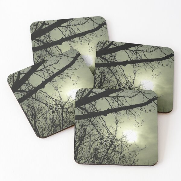 Item preview, Branches in Mist : photograph  designed and sold by Roz McQuillan Fine Art & Photography.