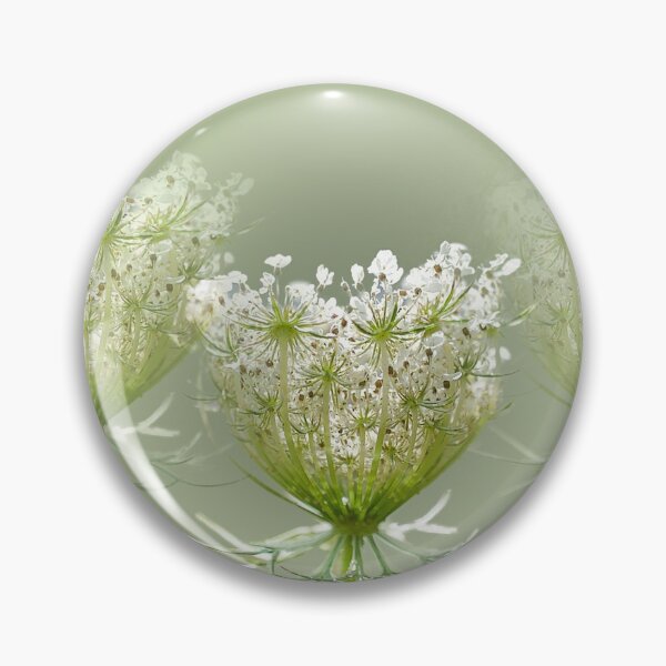 Item preview, Queen Anne's Lace  designed and sold by Alisonchambers2.