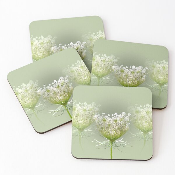 Item preview, Queen Anne's Lace  designed and sold by Alisonchambers2.