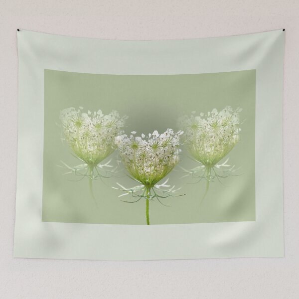 Item preview, Queen Anne's Lace  designed and sold by Alisonchambers2.