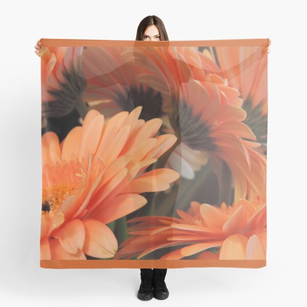 Apricot Gerberas #2 Scarf