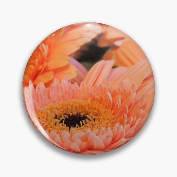 Item preview, Apricot Gerberas #1 designed and sold by Marilyn Harris.