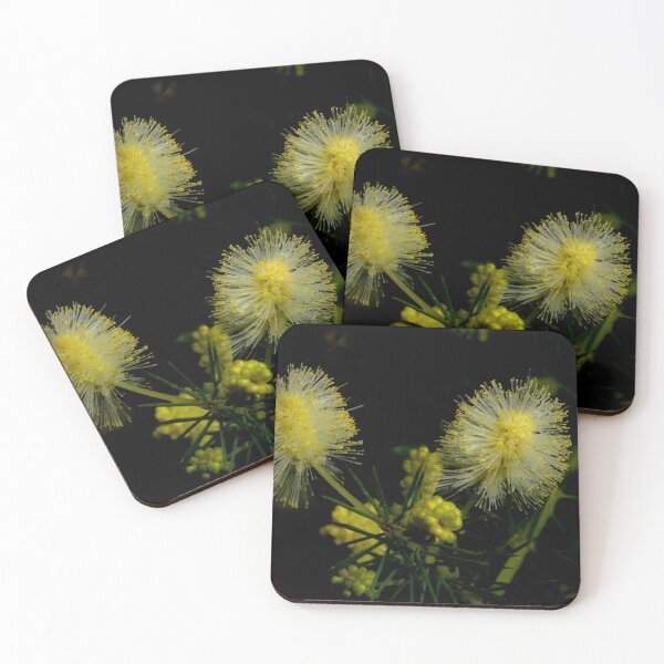 Item preview, Prickly Moses designed and sold by GP1746.