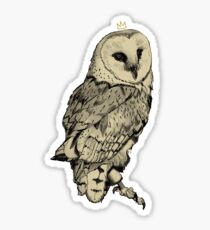 Barn Owl Sticker