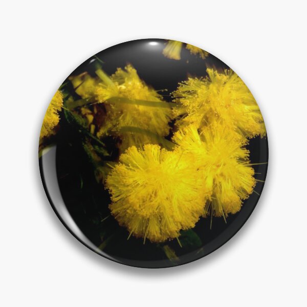 Item preview, Spiny Hedge Wattle designed and sold by GP1746.
