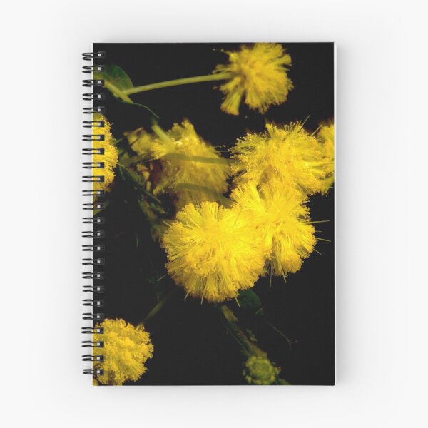 Item preview, Spiny Hedge Wattle designed and sold by GP1746.