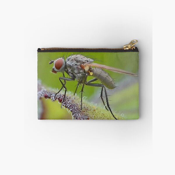 Item preview, Macro Fly designed and sold by relayer51.
