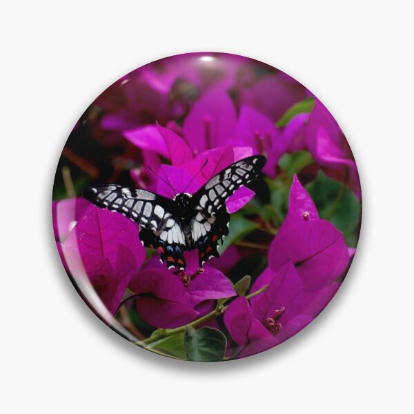 Item preview, Dingy Swallowtail designed and sold by GP1746.