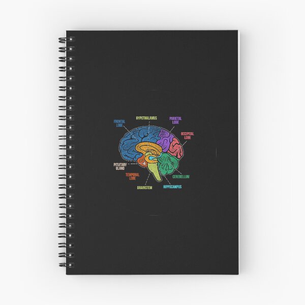 Item preview, Parts Of the Brain Colorful Diagram Neurology designed and sold by Trendy POP.