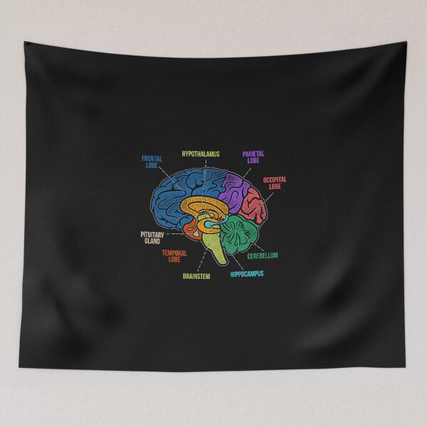 Item preview, Parts Of the Brain Colorful Diagram Neurology designed and sold by Trendy POP.