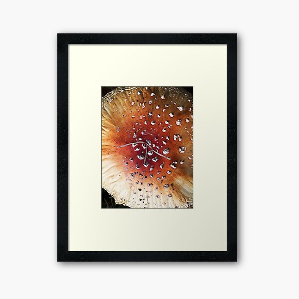 Diamonds on mushroom Framed Art Print