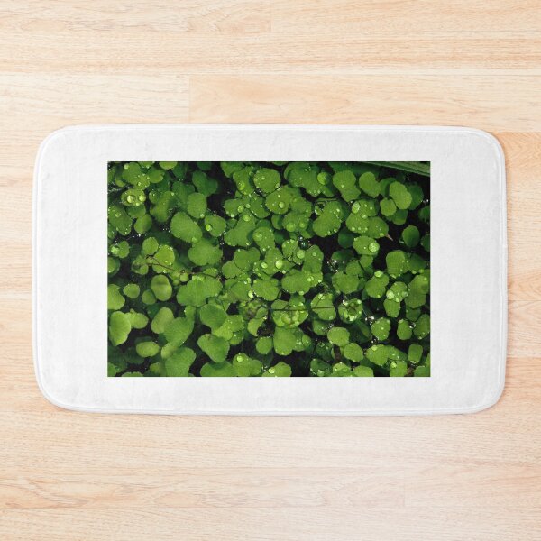 Item preview, Raindrops On Maidenhair designed and sold by GP1746.