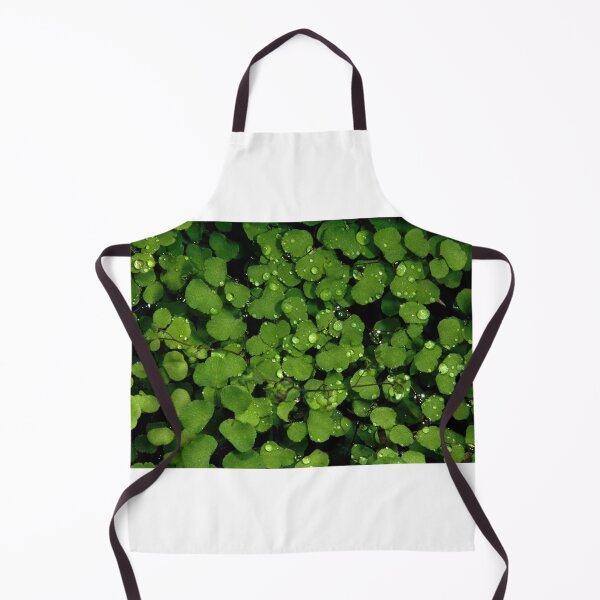 Item preview, Raindrops On Maidenhair designed and sold by GP1746.