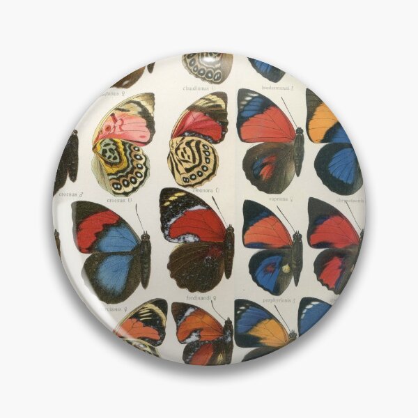 Item preview, Agrias Seitz Butterfly Print designed and sold by wild.geranium.design.