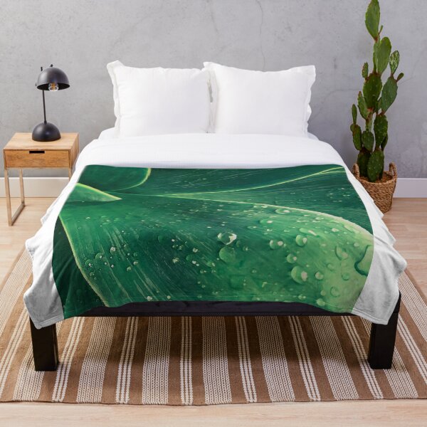 Item preview, Green Agave Leaves designed and sold by mn-imagerie.
