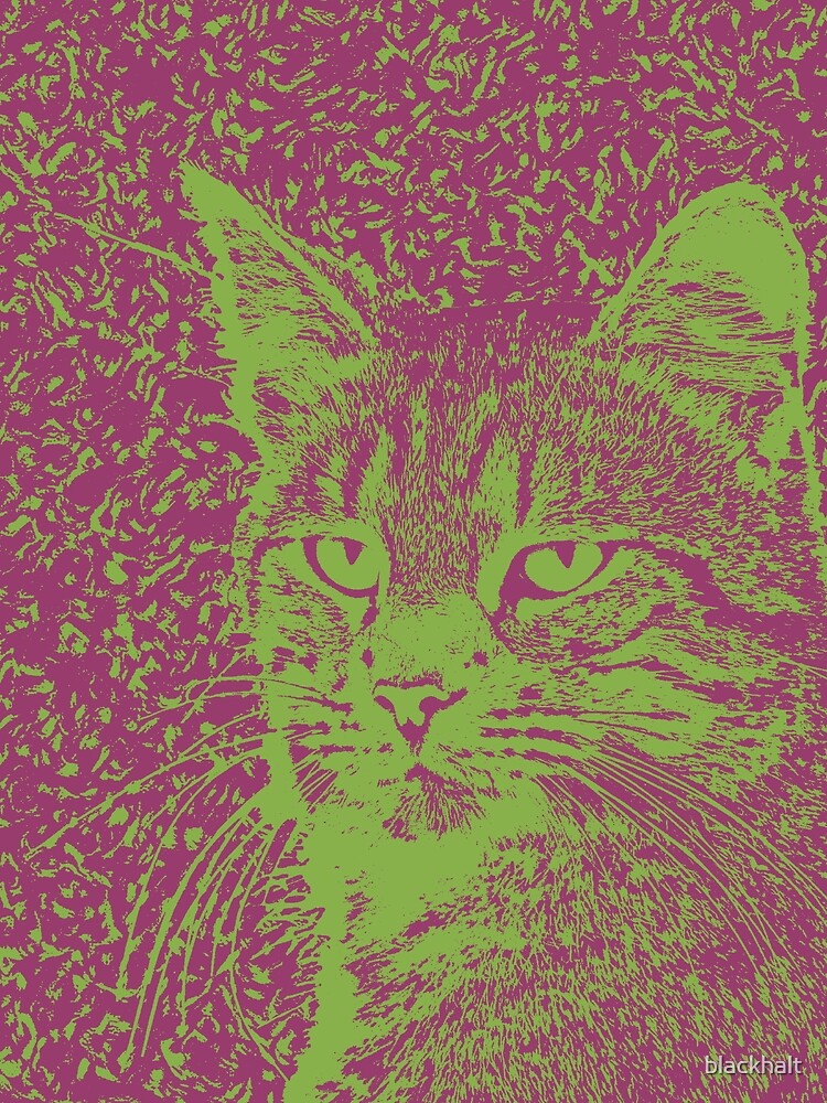 Portrait of cat, ninja Cat Sensei. 8-bit. by blackhalt